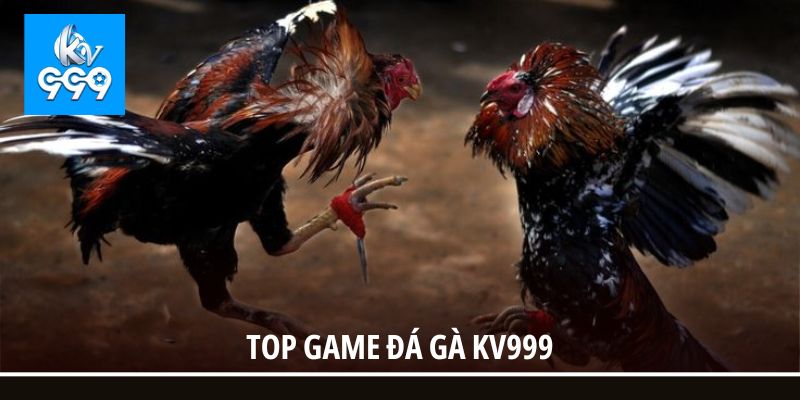 Top game đá gà KV999