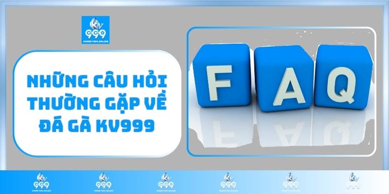 Những câu hỏi thường gặp về đá gà KV999